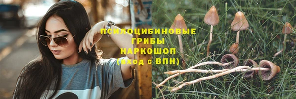 тгк Тихвин