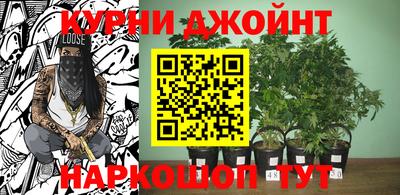 ALPHA-PVP Кандалакша