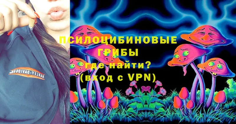 магазин  наркотиков  Томск  Псилоцибиновые грибы Cubensis 