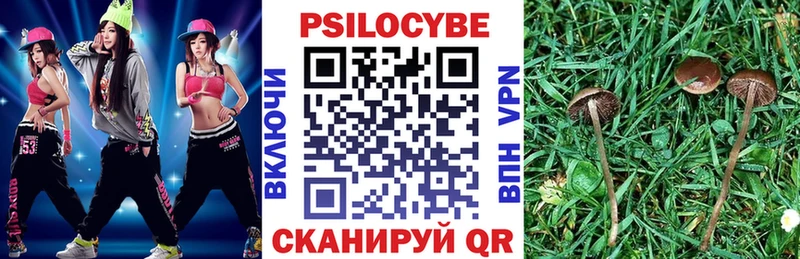 Галлюциногенные грибы Cubensis  купить   KRAKEN вход  Томск 