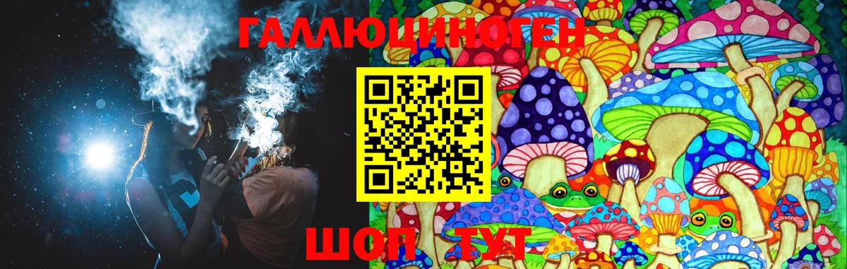 Томск  Галлюциногенные грибы Cubensis  Псилоцибиновые грибы мицелий  Вход с VPN 