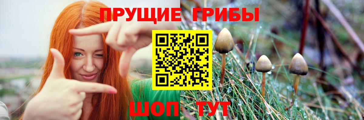 Галлюциногенные грибы мицелий  Томск 